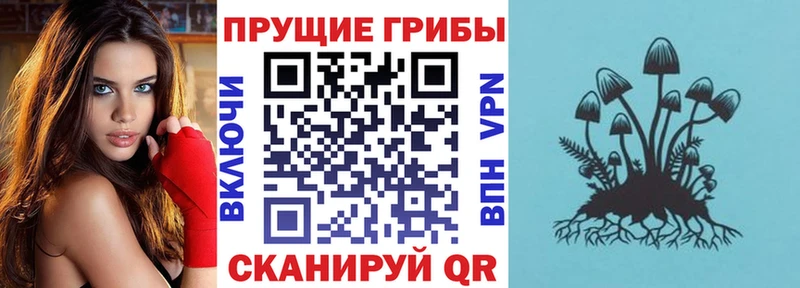 закладка  гидра tor  Галлюциногенные грибы мицелий  Электрогорск 